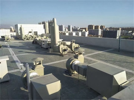 1735288975164675.jpg 8.jpg